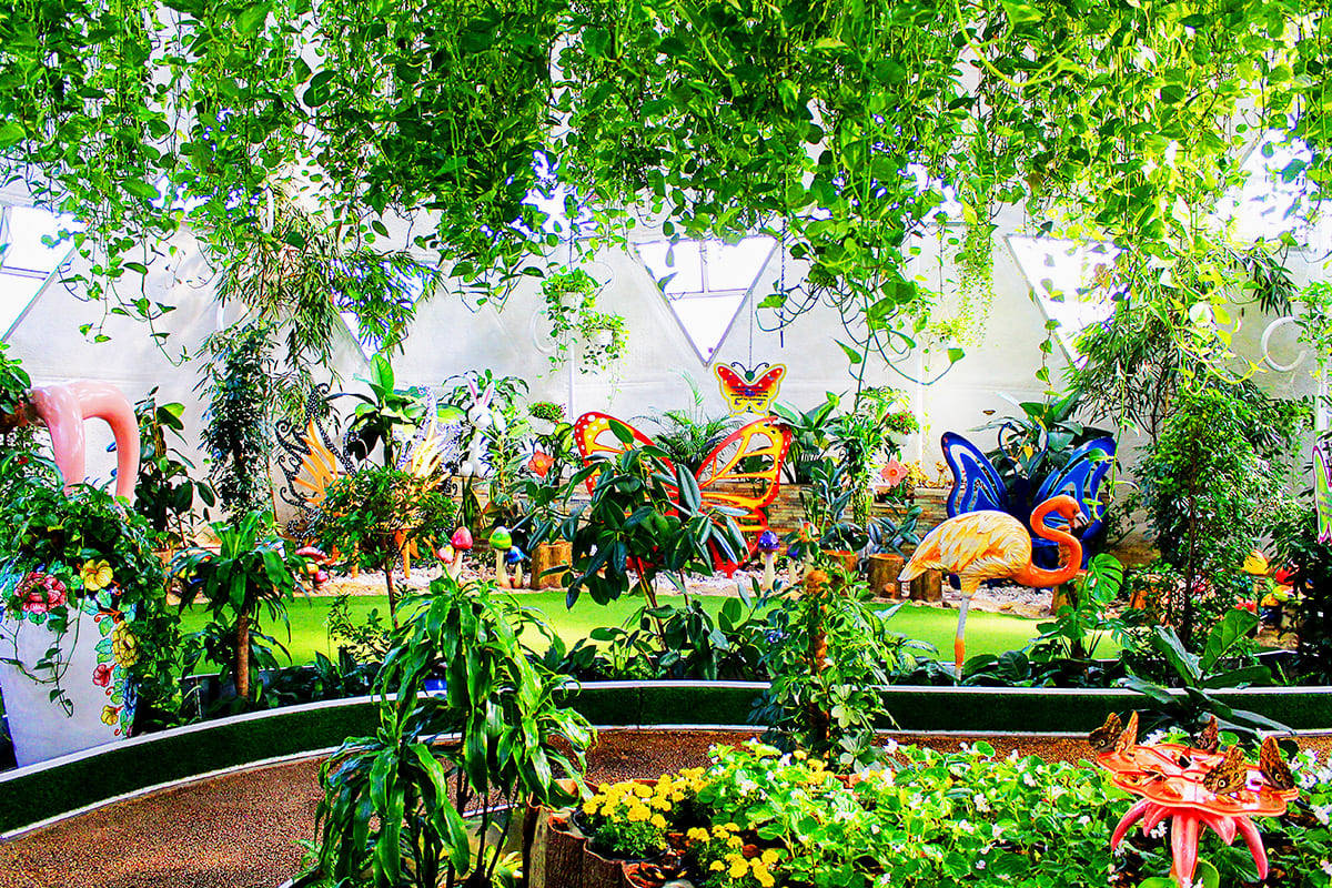 Dubai Miracle Garden