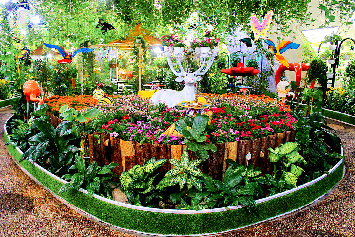 Dubai Miracle Garden